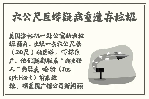 蜜多多聊天软件怎么样