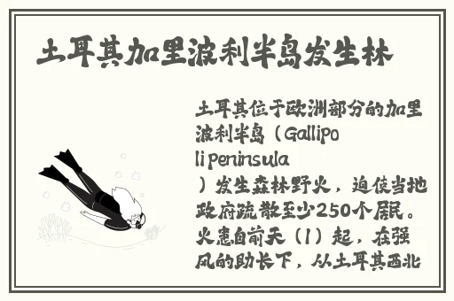 幼儿HIPHOP仙踪林的特点